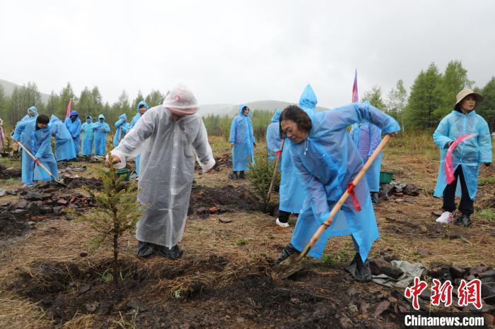 十余省份400多名游客為內(nèi)蒙古大興安嶺植綠