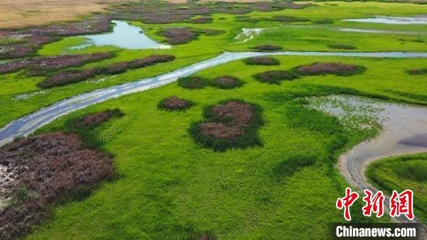 瑪納斯國(guó)家濕地公園，是世界候鳥的重要棲息地繁殖地，是候鳥飛越天山的“能量補(bǔ)充站”?！⊥吡λ菇?攝