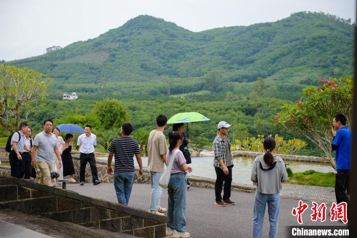 游客游覽嘉禾共享農(nóng)莊。