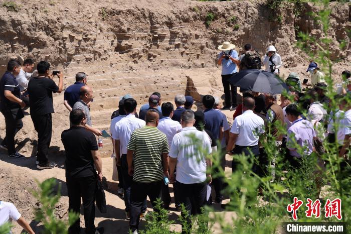 與會專家實地踏勘永濟渠故道唐宋武城遺址夯土墻?！↓R紅雨 攝