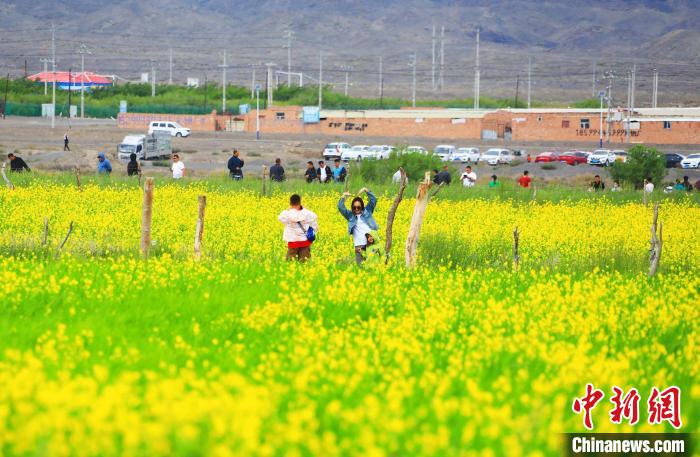 游客在油菜花海中拍照?！⊥锌诉d縣委宣傳部供圖