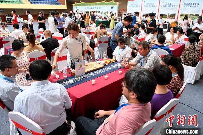 此次活動以“花樣漳州·烏龍茶香”為主題。圖為茶會現(xiàn)場參會嘉賓品茗聊天。　張金川 攝