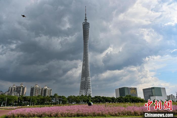 廣州受臺(tái)風(fēng)“泰利”影響市區(qū)出現(xiàn)雷雨大風(fēng)天氣