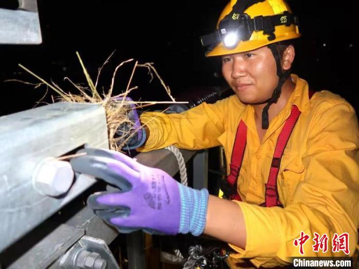 中老鐵路：深夜，“小黃人”幫小鳥搬“新家”