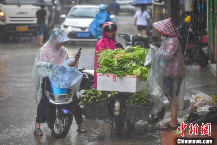 圖為海口民眾在雨中買菜?！●樤骑w 攝