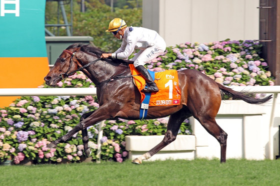 星級(jí)賽駒“金槍六十”三奪“香港馬王”殊榮。（香港賽馬會(huì)供圖）