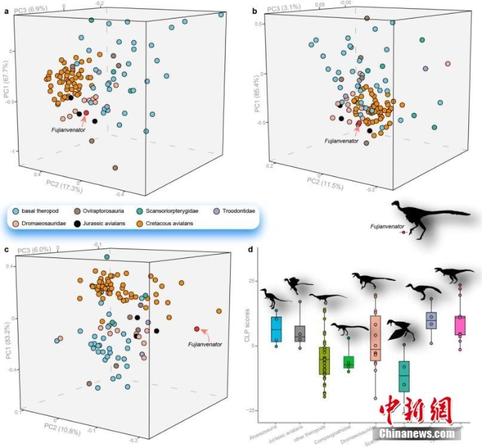 中國(guó)新發(fā)現(xiàn)約1.5億年前鳥翼類恐龍“奇異福建龍”