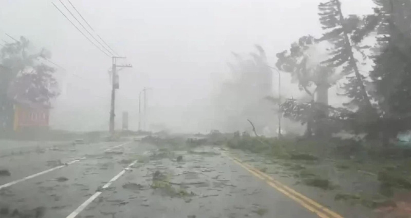 海葵颱風(fēng)登陸臺東東河地區(qū)，暴風(fēng)圈夾帶10級以上陣風(fēng)橫掃整個(gè)臺東，其中，綠島測得恐怖的16級瞬間陣風(fēng)。許多路樹不是被連根拔起吹倒，就是攔腰折斷，屋外物品也被吹得東倒西歪，市民想起2018年尼伯特颱風(fēng)17級強(qiáng)風(fēng)，直呼「恐怖到極點(diǎn)！」記者尤聰光／攝影