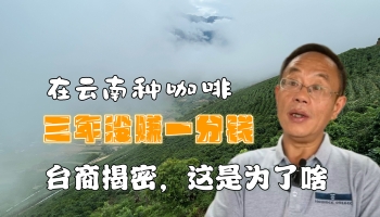 【滇西行】在云南種咖啡三年未賺一分錢(qián)？！臺(tái)商揭密個(gè)中原因