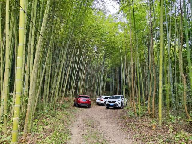 “金鐘玉鼓”鳴西蜀，彭州老君山文化傳承人王志強致力打造文旅目的地(圖5)