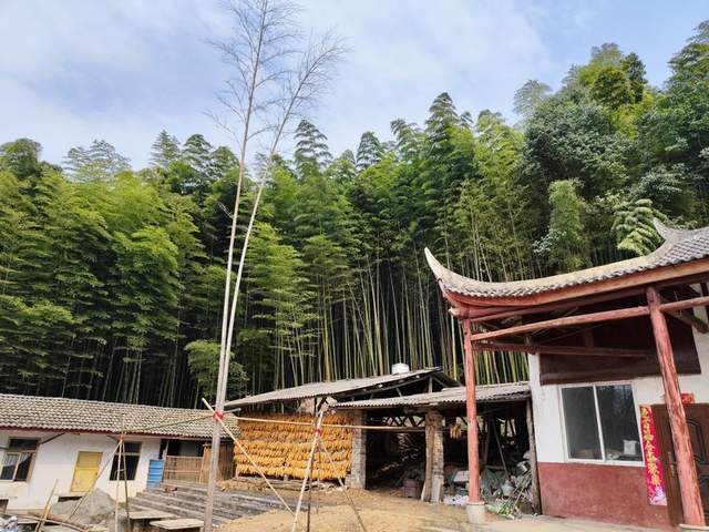 “金鐘玉鼓”鳴西蜀，彭州老君山文化傳承人王志強致力打造文旅目的地(圖4)