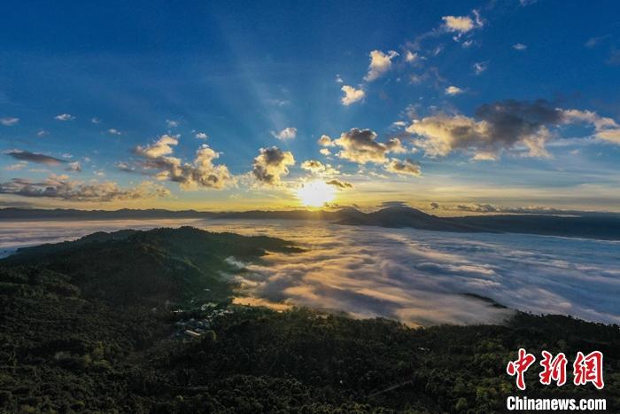 景邁山云海。 邵鴻雁攝