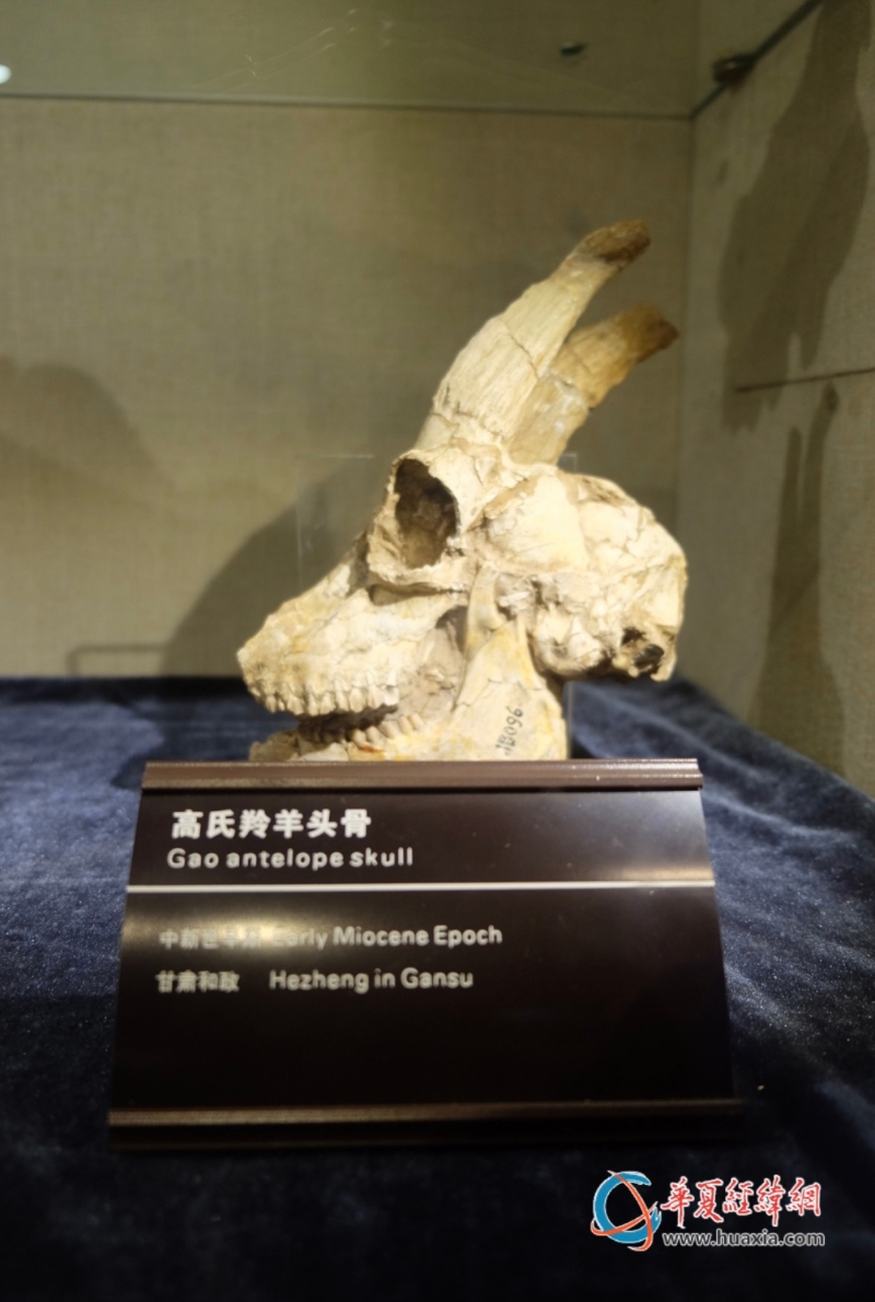 微信圖片_20231020080106