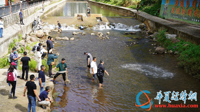 5：體驗(yàn)捕魚