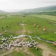 中國4項全球重要農業(yè)文化遺產獲聯(lián)合國糧農組織授牌