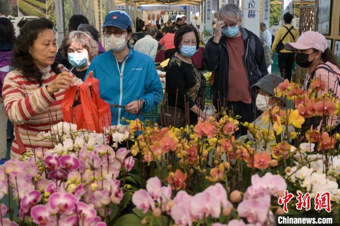 香港2024本地漁農(nóng)美食嘉年華在旺角花墟公園揭幕