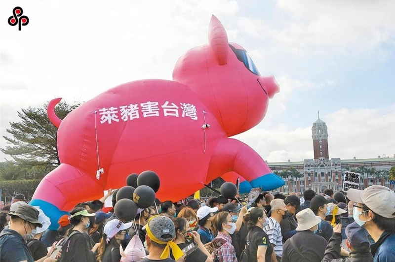 臺中市政府近日抽驗國產臺糖安心豚梅花肉片，竟檢出瘦肉精西布特羅。（報系資料照）