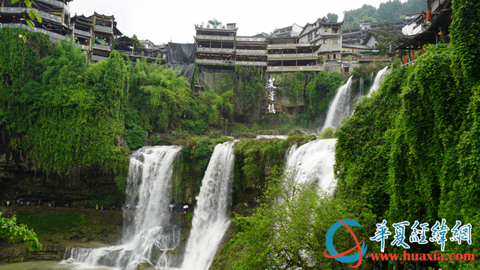 兩岸媒體人雨中暢游“千年古鎮(zhèn)”芙蓉鎮(zhèn) 品鑒永順縣莓茶