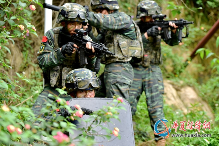 圖十：特戰(zhàn)隊員深入林地展開搜索。王松青 攝_副本