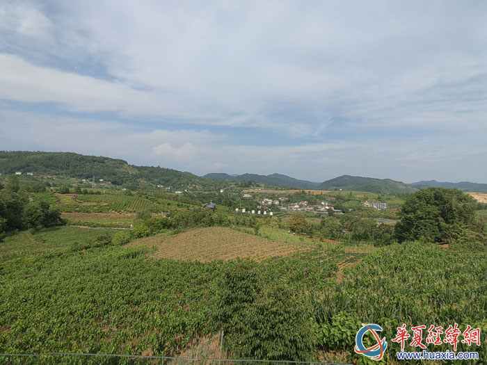 俯瞰池河鎮(zhèn)明星村“最美桑海”美景。