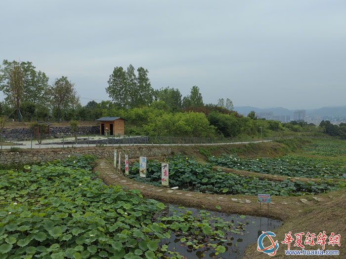 臺灣農民創(chuàng)業(yè)園富硒水產養(yǎng)殖區(qū)。