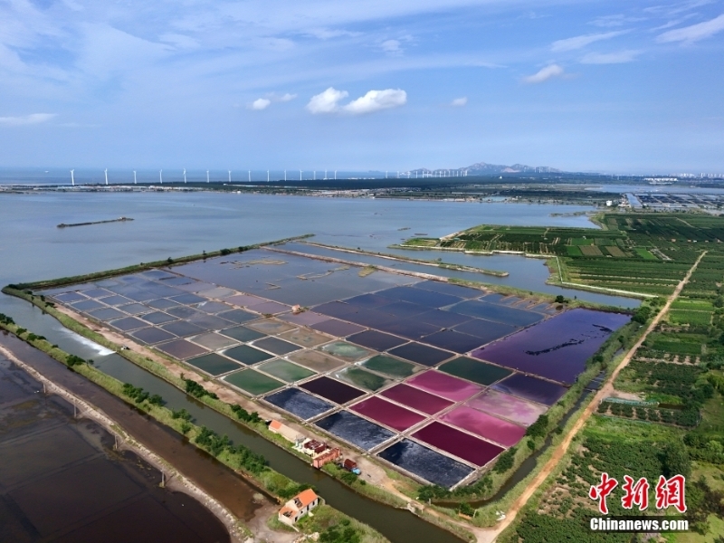 8月7日，山東省榮成市港西鎮(zhèn)朝陽港的一處鹽田在藍天白云的映襯下呈現(xiàn)出色彩斑斕、絢麗多彩的獨特景觀，成為海邊的一道靚麗風景。