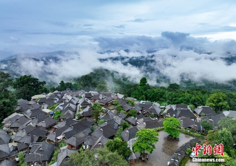 （聚焦中國高質(zhì)量發(fā)展）普洱景邁山古茶林文化景觀