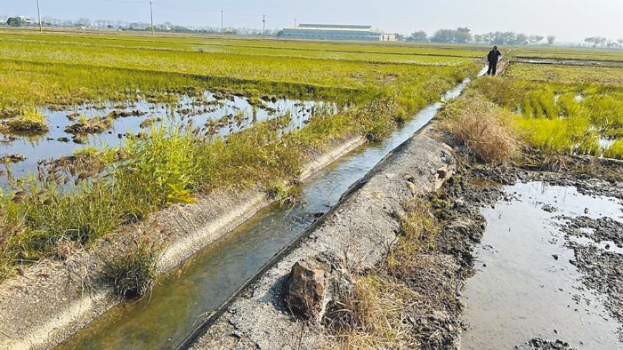 圖為臺南后壁農(nóng)水路