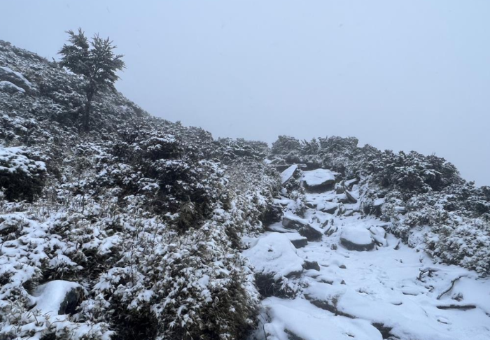 嘉明湖步道過(guò)9公里處山區(qū)降雪畫(huà)面