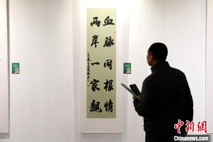 4月2日，第十八屆海峽兩岸文化藝術(shù)展在陜西西安啟幕。圖為市民參觀書法作品。　中新社記者 張遠(yuǎn) 攝